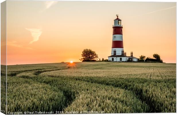 Happisburgh Lighthouse Sunset Over Field Canvas Print by Neal Trafankowski