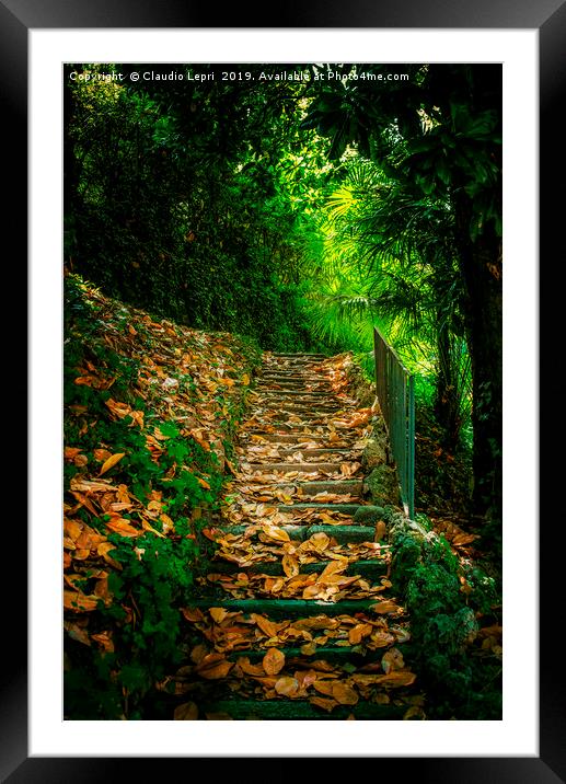 Nature Hill. Steps on golden leaves. Framed Mounted Print by Claudio Lepri
