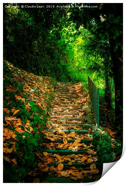 Nature Hill. Steps on golden leaves. Print by Claudio Lepri