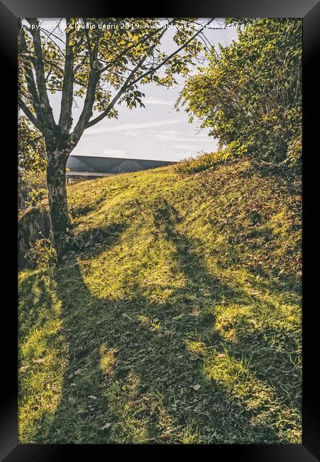 Nature Hill. Steps on green shadow. Framed Print by Claudio Lepri
