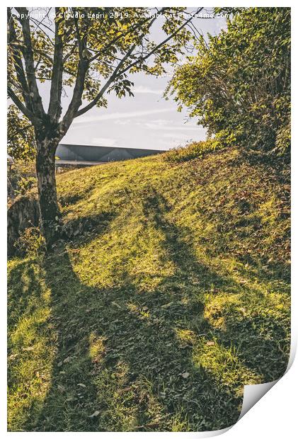Nature Hill. Steps on green shadow. Print by Claudio Lepri