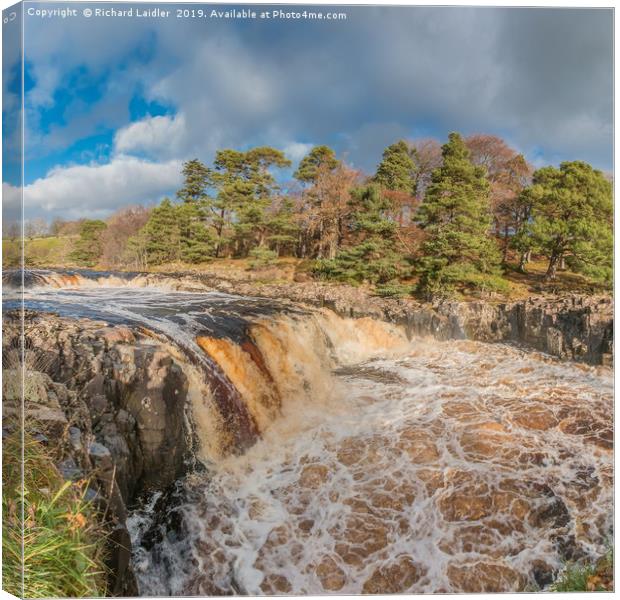 Swollen River Tees at Low Force Waterfall, Autumn Canvas Print by Richard Laidler