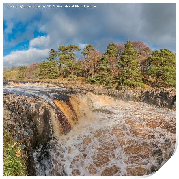 Swollen River Tees at Low Force Waterfall, Autumn Print by Richard Laidler