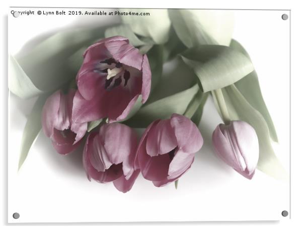 Five Pink Tulips Acrylic by Lynn Bolt