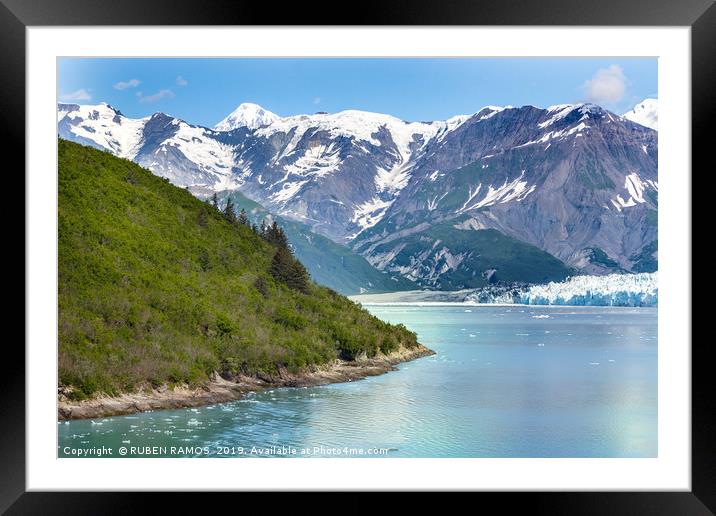 Glacier Bay in Alaska. Framed Mounted Print by RUBEN RAMOS