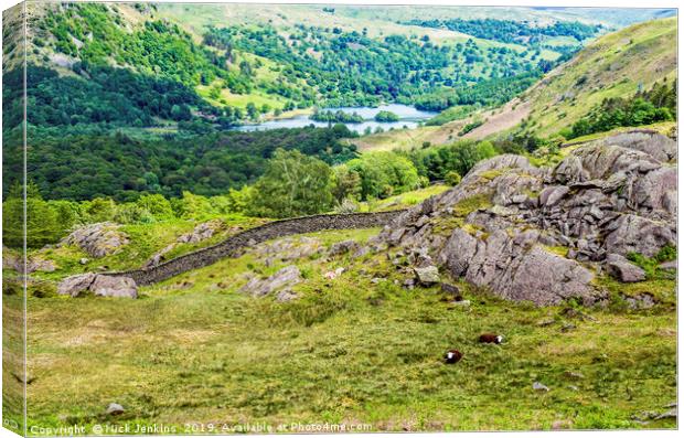 View to Rydal Water from Hammerscar Plantation  Canvas Print by Nick Jenkins