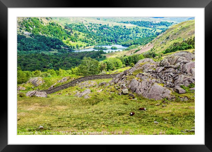 View to Rydal Water from Hammerscar Plantation  Framed Mounted Print by Nick Jenkins