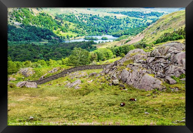 View to Rydal Water from Hammerscar Plantation  Framed Print by Nick Jenkins
