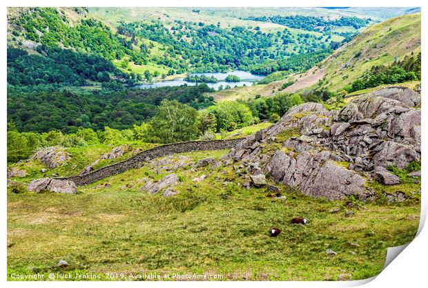 View to Rydal Water from Hammerscar Plantation  Print by Nick Jenkins