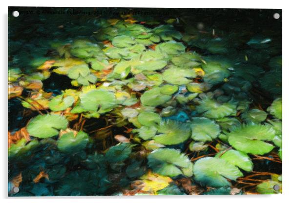 Water Lilies Monet Style Acrylic by Alexandre Rotenberg