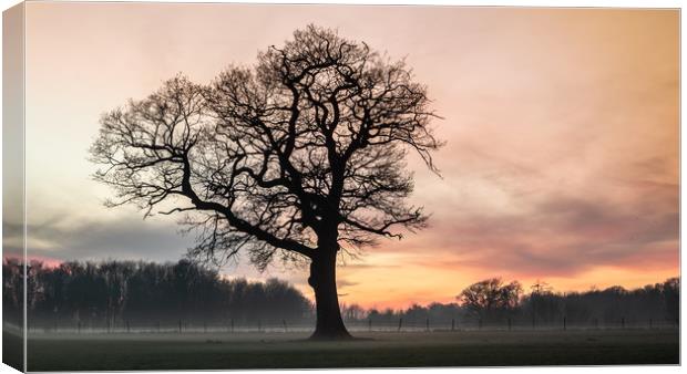 Tree Of Hope Canvas Print by Ben Hatwell
