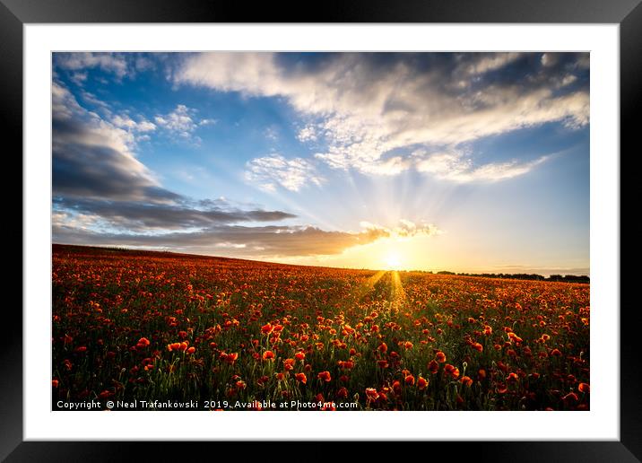 Poppy Field Sunset Framed Mounted Print by Neal Trafankowski