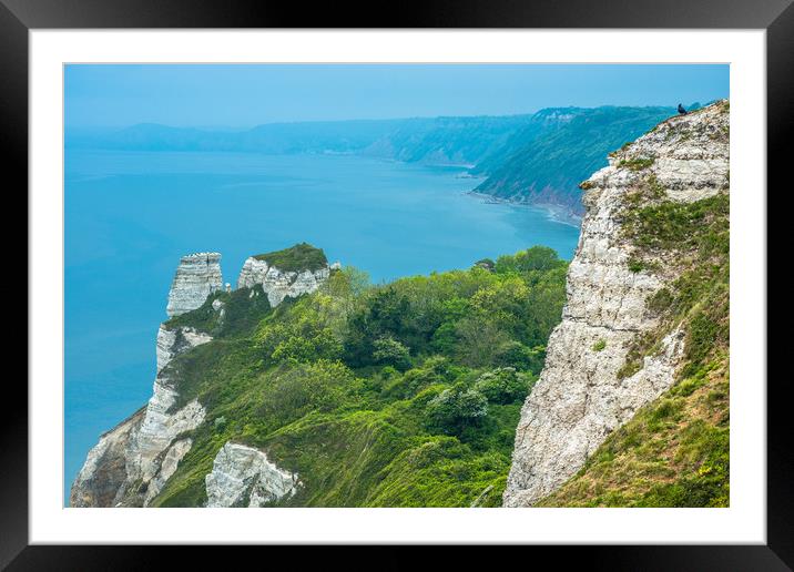 Clifftops between Beer and Branscombe Framed Mounted Print by Andrew Michael