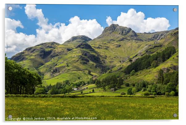 Langdale Pikes in the Lake District in Spring Acrylic by Nick Jenkins
