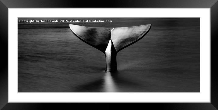 Goin' Down Slow Framed Mounted Print by DiFigiano Photography