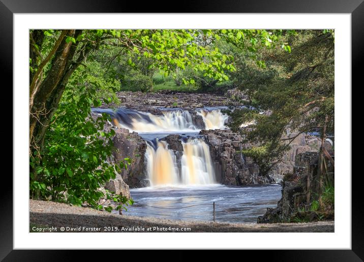 Low Force Waterfall, Teesdale, County Durham, UK Framed Mounted Print by David Forster