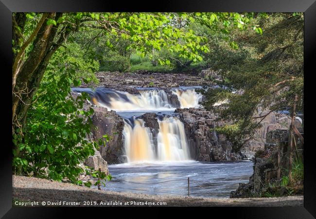Low Force Waterfall, Teesdale, County Durham, UK Framed Print by David Forster