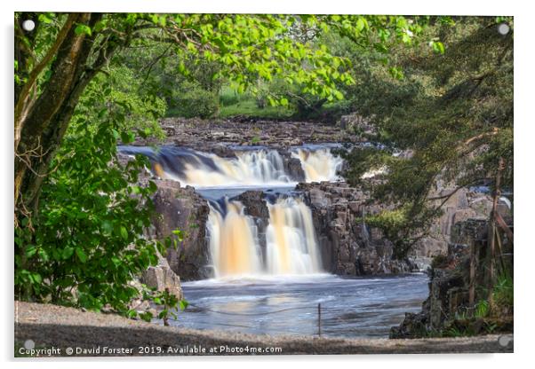 Low Force Waterfall, Teesdale, County Durham, UK Acrylic by David Forster