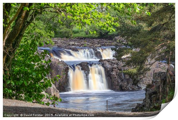 Low Force Waterfall, Teesdale, County Durham, UK Print by David Forster