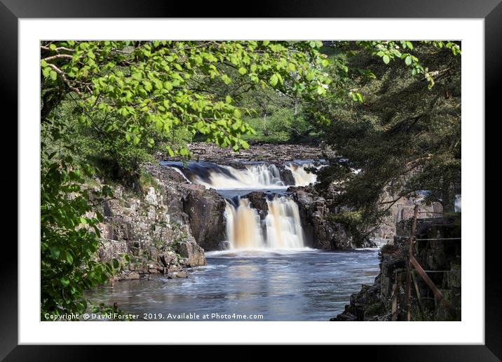 Low Force from the Pennine Way, Teesdale, County D Framed Mounted Print by David Forster
