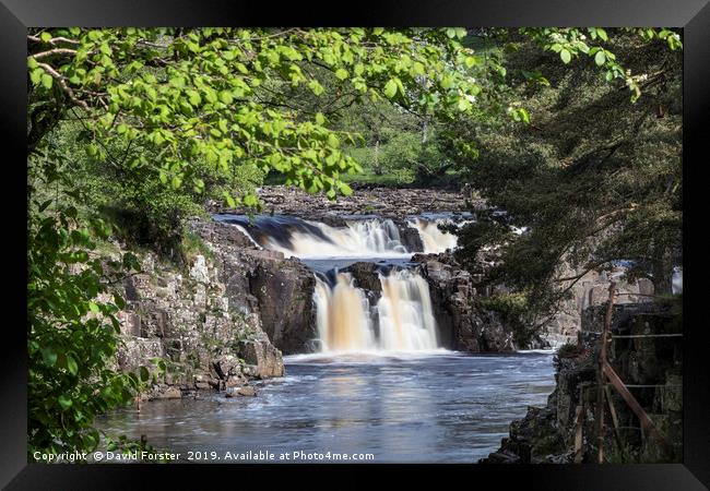 Low Force from the Pennine Way, Teesdale, County D Framed Print by David Forster