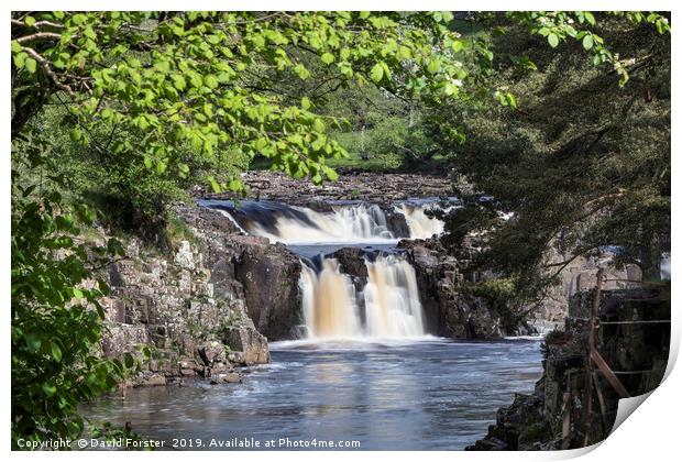 Low Force from the Pennine Way, Teesdale, County D Print by David Forster