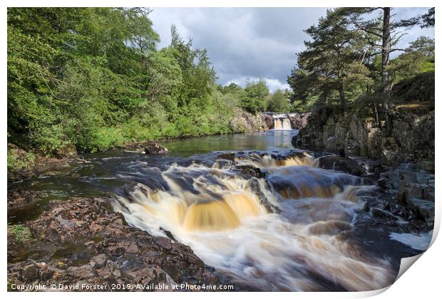 Low Force, Teesdale, County Durham, UK Print by David Forster