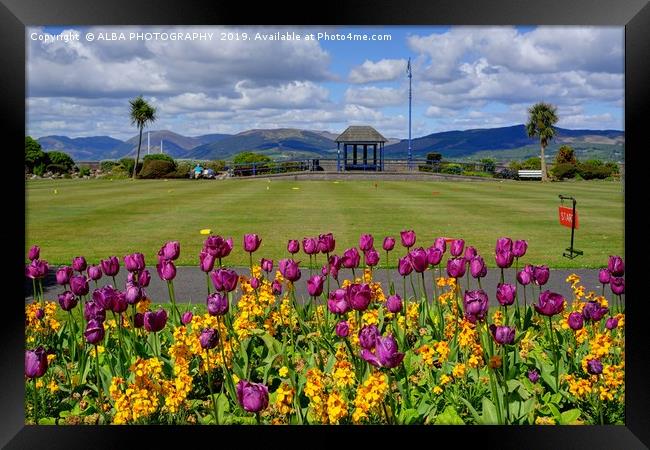 Rothesay Winter Gardens, Isle of Bute, Scotland Framed Print by ALBA PHOTOGRAPHY