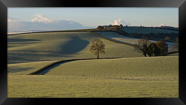 Frosted Fields, Bradninch - Mid Devon Framed Print by Pete Hemington