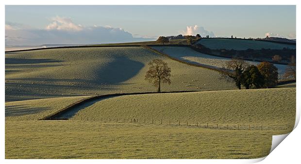 Frosted Fields, Bradninch - Mid Devon Print by Pete Hemington