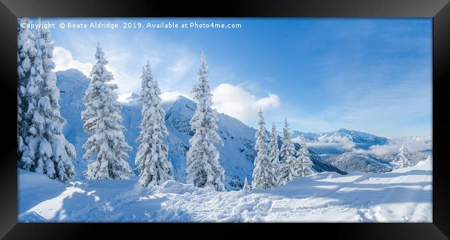 Winter in the Alps. Framed Print by Beata Aldridge