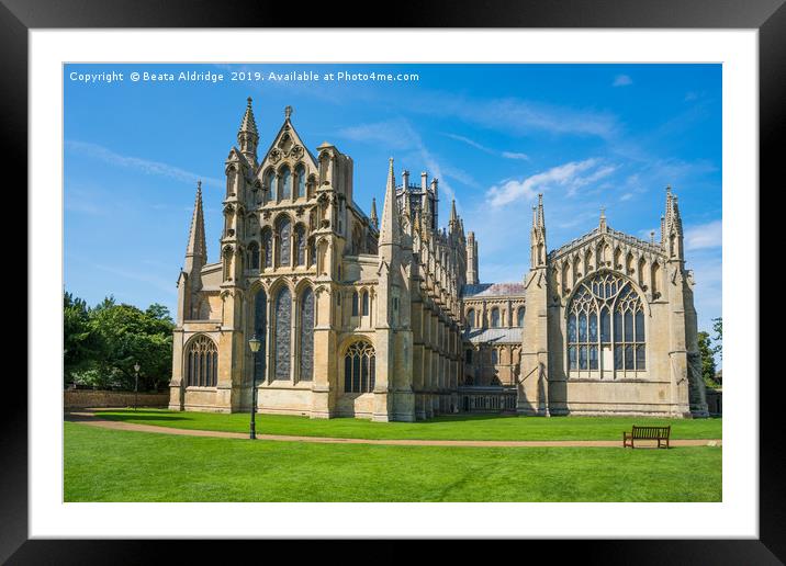 Ely Cathedral Framed Mounted Print by Beata Aldridge