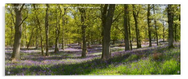 Kinclaven bluebell wood panorama Acrylic by Mike Johnston