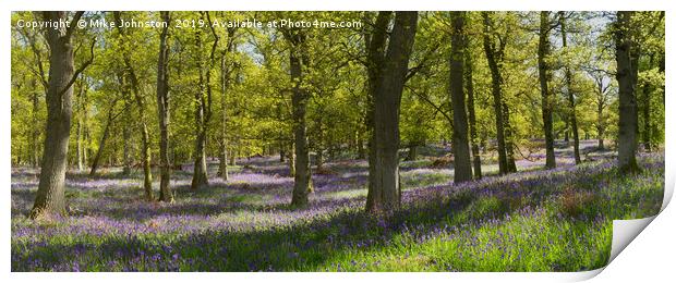 Kinclaven bluebell wood panorama Print by Mike Johnston