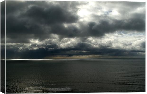 Stormy Dorset Canvas Print by Chris Day