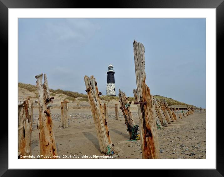 Spurn Point Lighthouse                     Framed Mounted Print by Tracey Wood