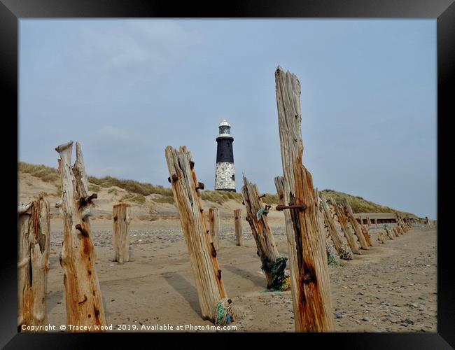 Spurn Point Lighthouse                     Framed Print by Tracey Wood