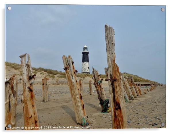 Spurn Point Lighthouse                     Acrylic by Tracey Wood