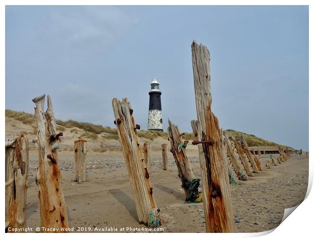 Spurn Point Lighthouse                     Print by Tracey Wood