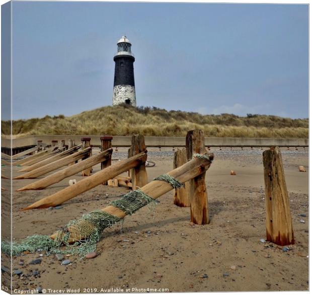 Spurn Point Lighthouse                             Canvas Print by Tracey Wood