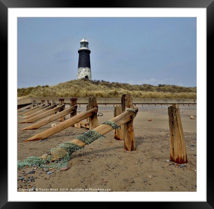Spurn Point Lighthouse                             Framed Mounted Print by Tracey Wood