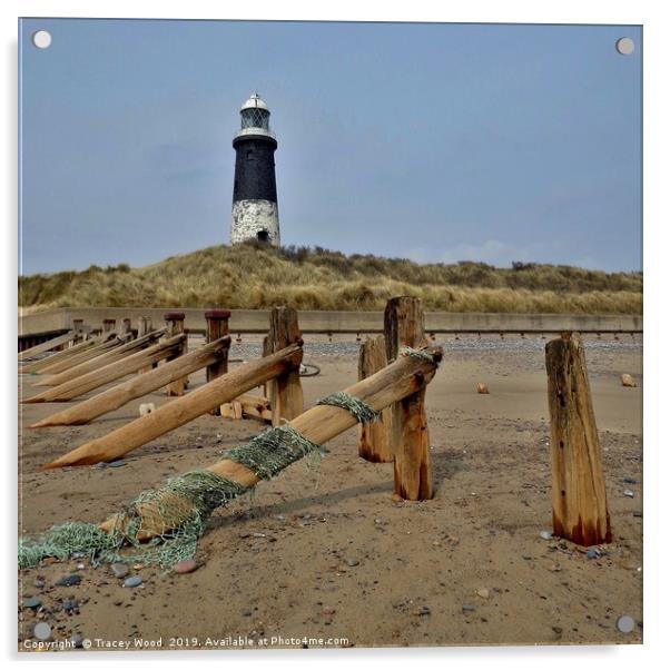 Spurn Point Lighthouse                             Acrylic by Tracey Wood