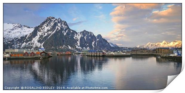 "Svolvaer Norway" Print by ROS RIDLEY
