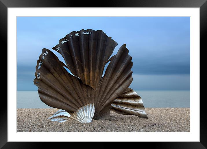 Aldeburgh Beach Shell Framed Mounted Print by David Blake