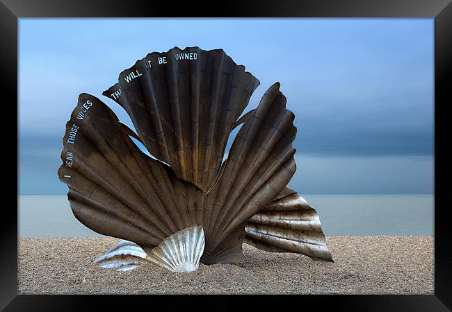 Aldeburgh Beach Shell Framed Print by David Blake
