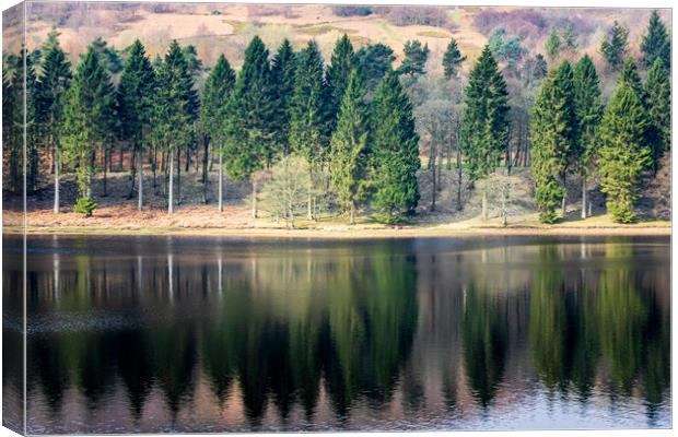 Trees reflection  Canvas Print by chris smith