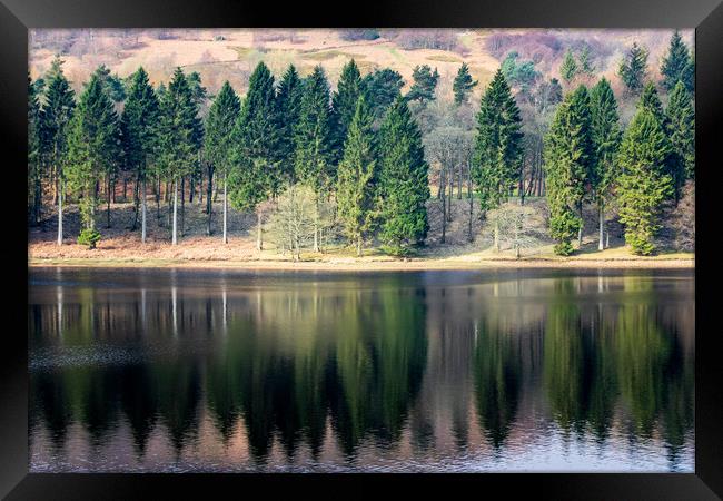 Trees reflection  Framed Print by chris smith