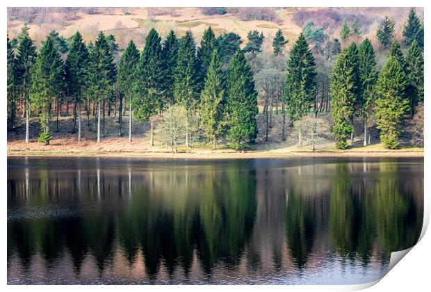 Trees reflection  Print by chris smith