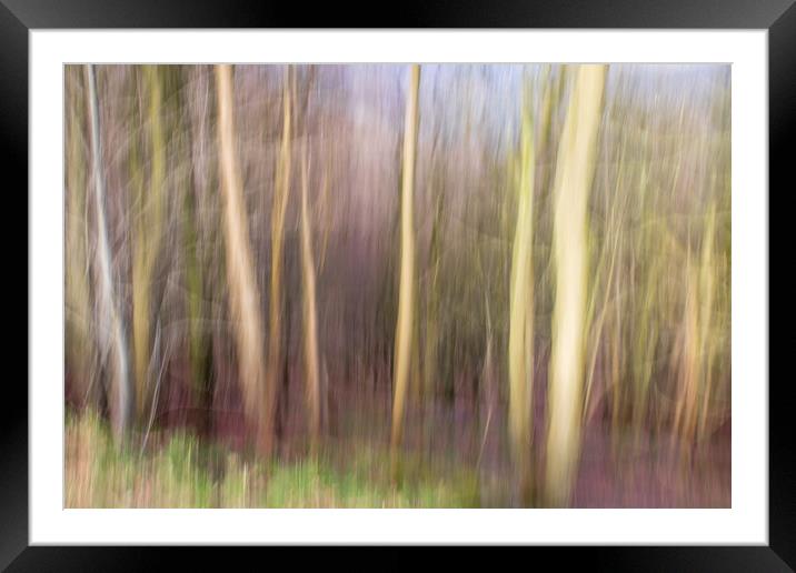 abstract blur forest  Framed Mounted Print by chris smith
