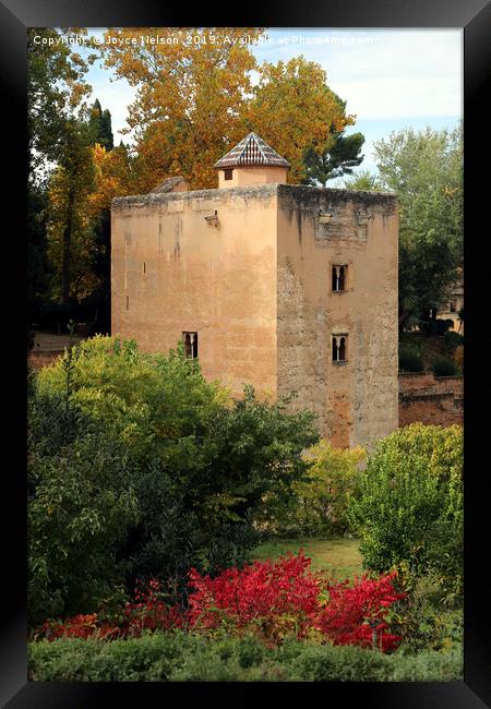  Mondragon Palace gardens Ronda, Spain Framed Print by Joyce Nelson